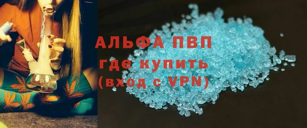 индика Корсаков