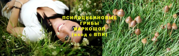 шишки Киреевск