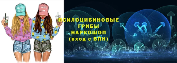 шишки Киреевск