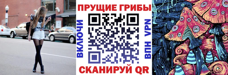 где можно купить наркотик  Братск  Псилоцибиновые грибы Psilocybe 