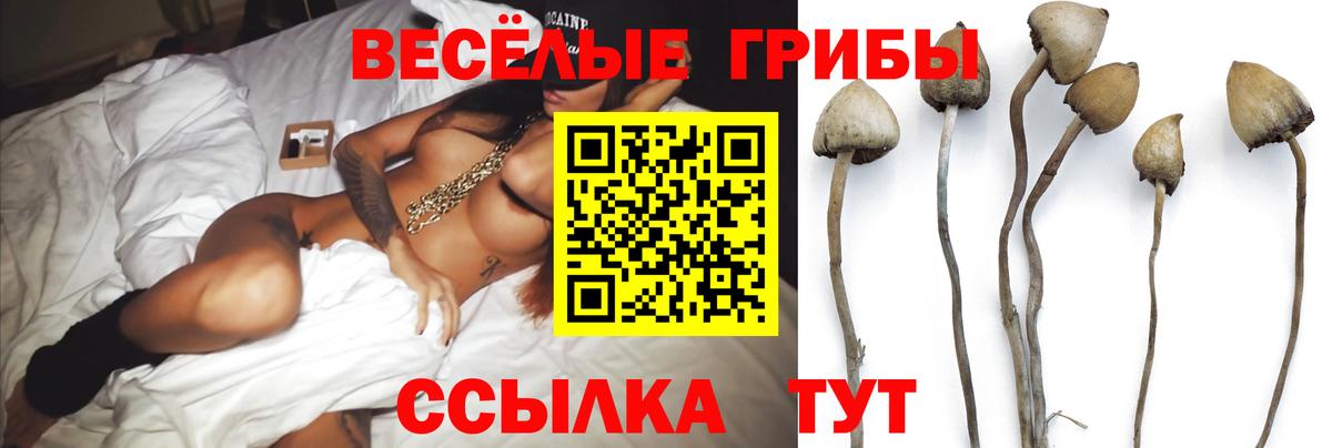 Псилоцибиновые грибы мицелий Братск